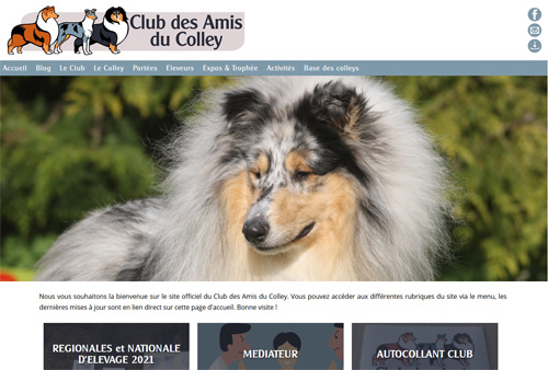 Site web du Club des Amis du Colley conçu par Yorleen Design