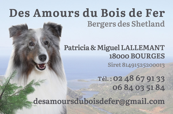 Carte de visite pour un élevage canin par Yorleen Design