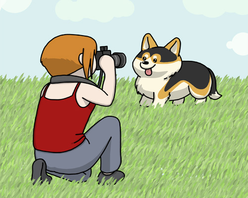 Rubrique photographie